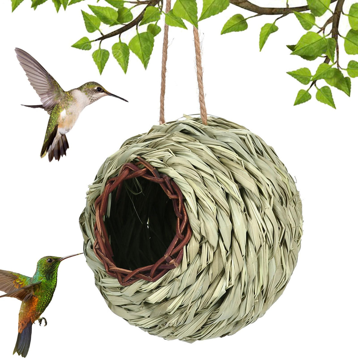 🐦Bird Feeders & Baths