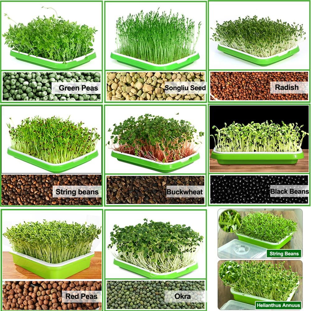 BPA Free Hydroponics Soilless Seeds Sprouter Microgreen Seed Sprouter Trays Seed Germination Double Tier Grow Trays with Lid 5PCS-Seed Sprouter Tray+Lid