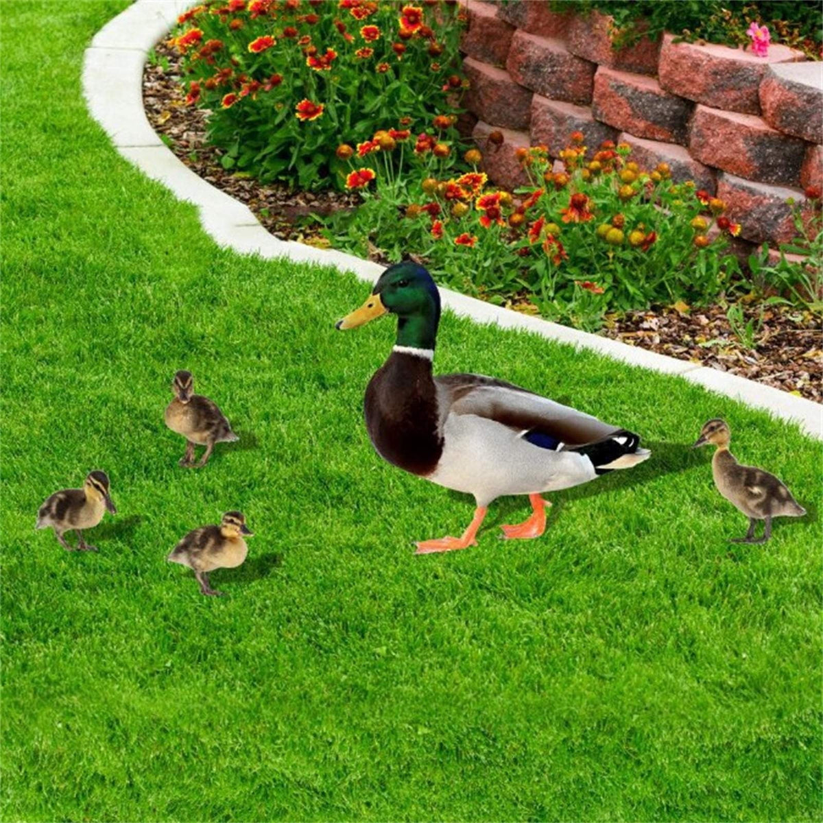 5Pcs Garden Duck Stakes, Three-dimensional, Dual-sided, Yard Sign, Metal Duck Garden Stakes, Yard Art for Lawn Outdoor Decoration Multicolor