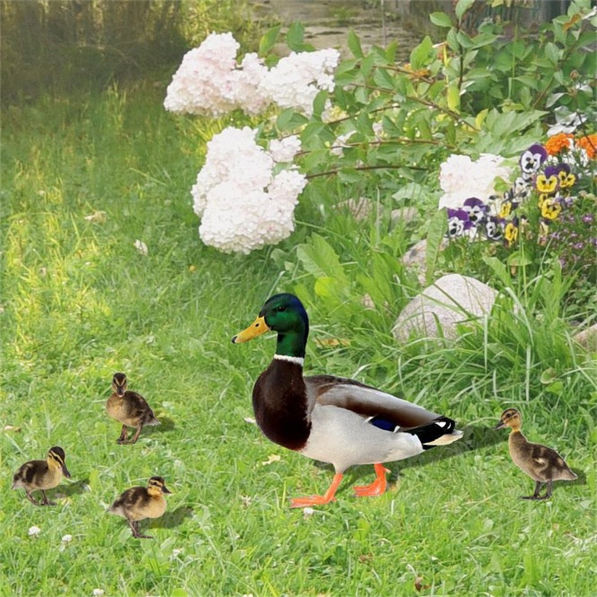 5Pcs Garden Duck Stakes, Three-dimensional, Dual-sided, Yard Sign, Metal Duck Garden Stakes, Yard Art for Lawn Outdoor Decoration Multicolor