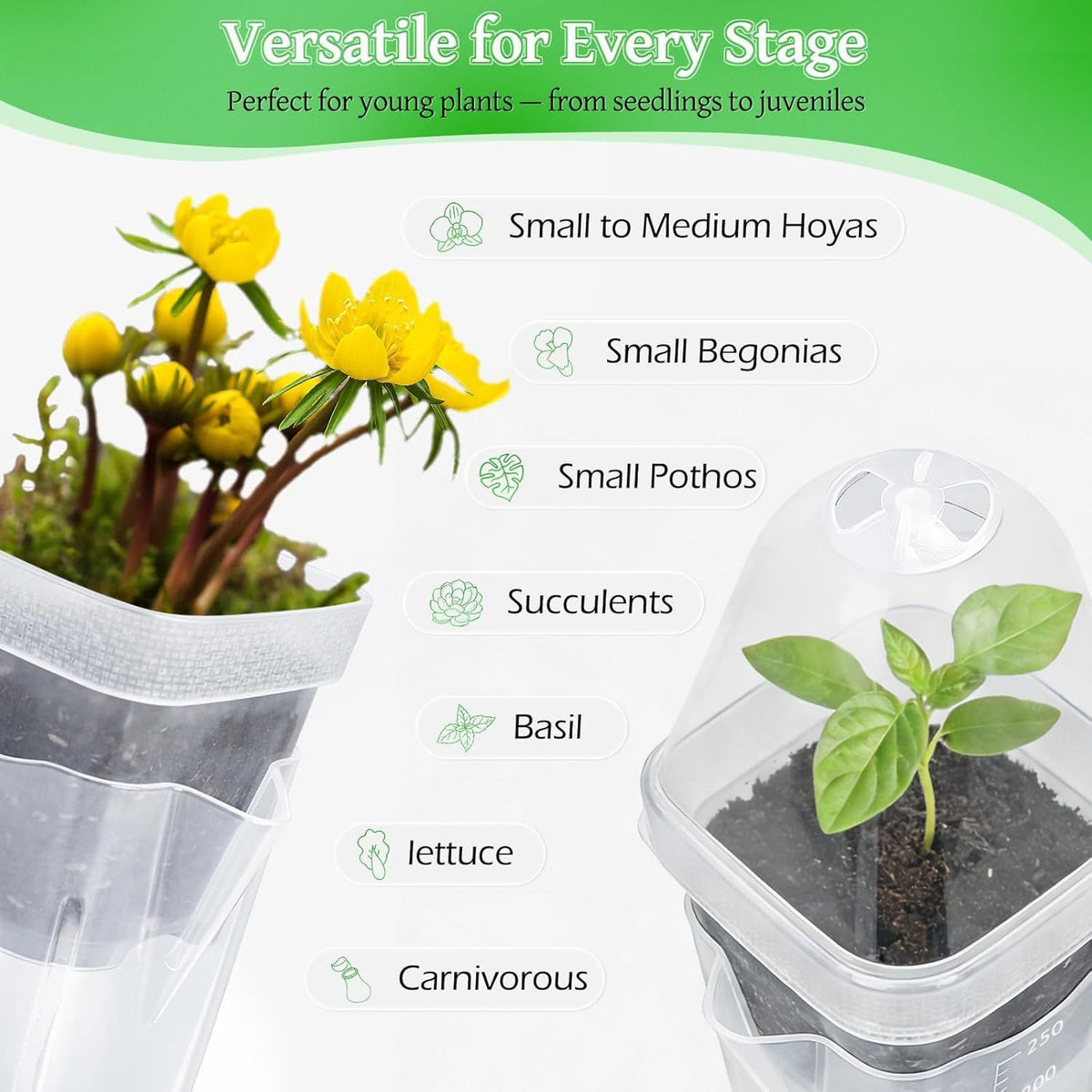 Self-Watering Propagation Station with Adjustable Ventilation Dome, Clear Square Plant Nursery Pot for Starting Seeds, Cuttings, and Succulents Indoors on Windowsills and Desktops (4PCS)
