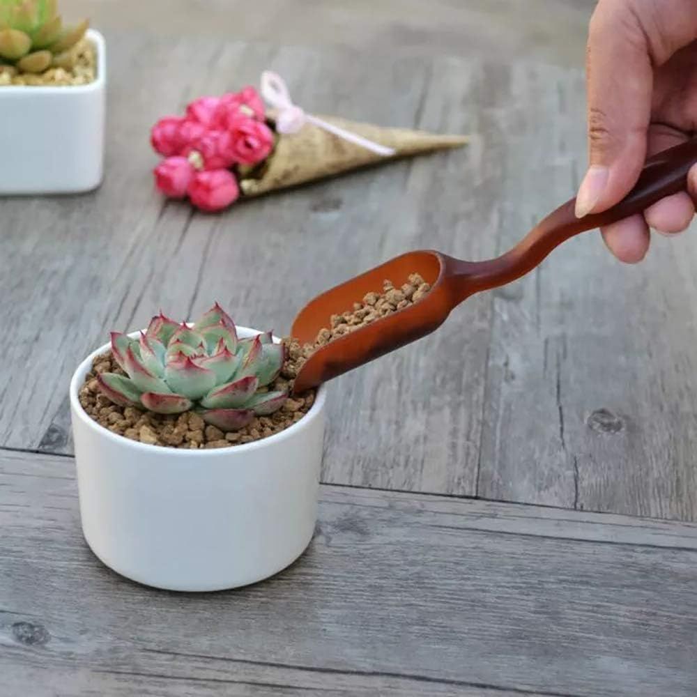 15 Pcs Succulent Plant Tools Set, Mini Garden Planting Watering Tool Kit for Succulent Miniature Gardening Plant Care