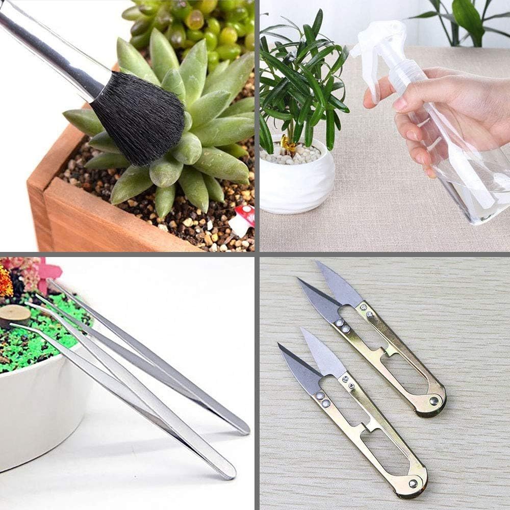 15 Pcs Succulent Plant Tools Set, Mini Garden Planting Watering Tool Kit for Succulent Miniature Gardening Plant Care